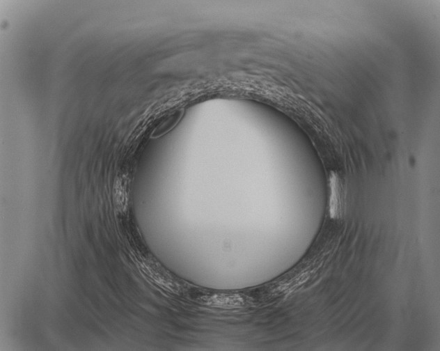 X0000087691491200705181741