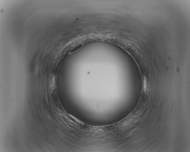 X0000087691492200705181741