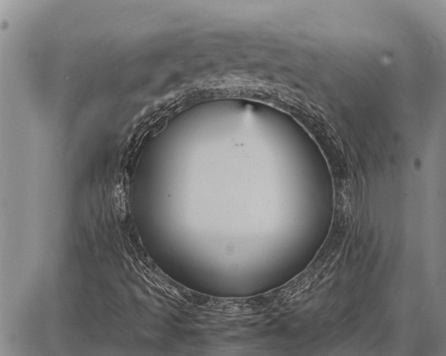 X0000087691493200705181741