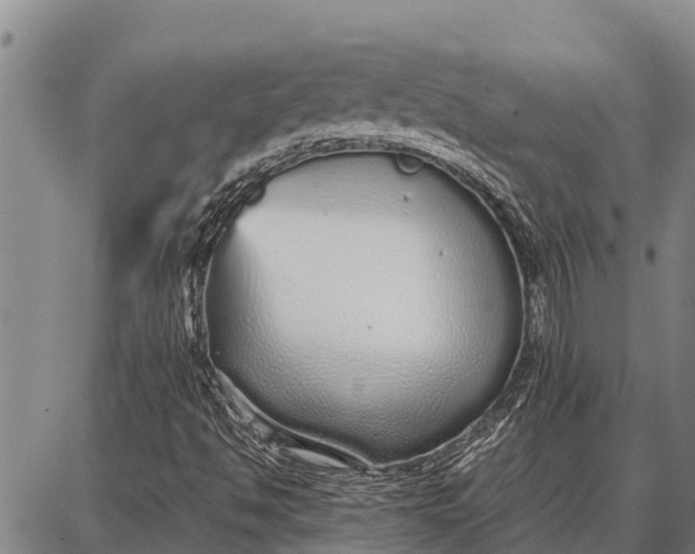 X0000087691494200705181741