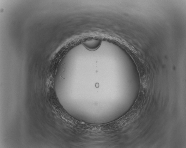 X0000087691495200705181741