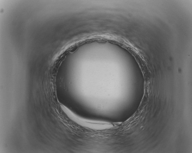 X0000087691496200705181741