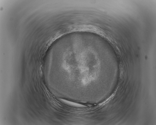 X0000087691497200705181741