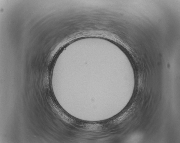 X0000087691498200705181741