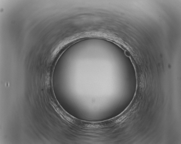 X0000087691499200705181741