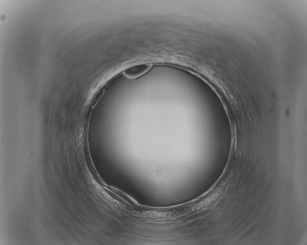 X0000087691500200705181741