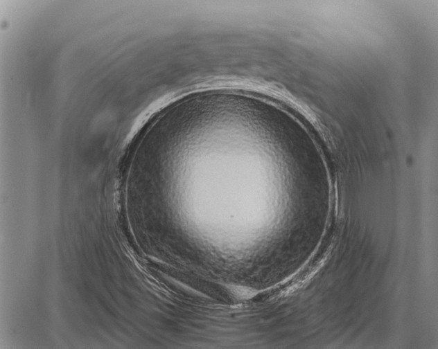 X0000087691501200705181741