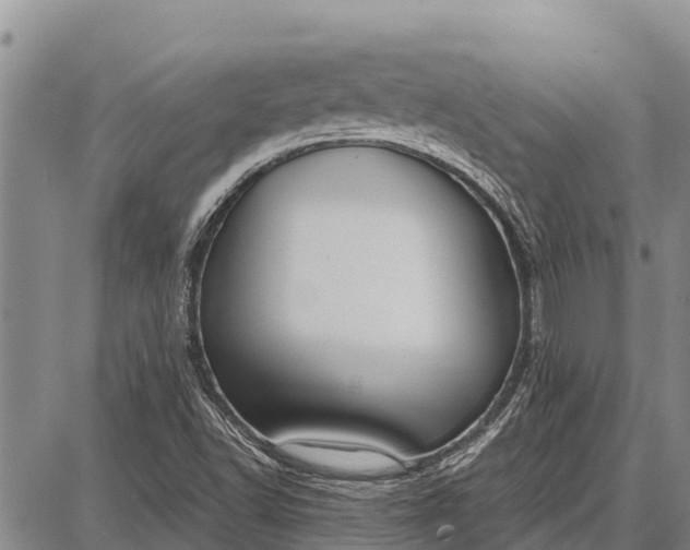 X0000087691502200705181741