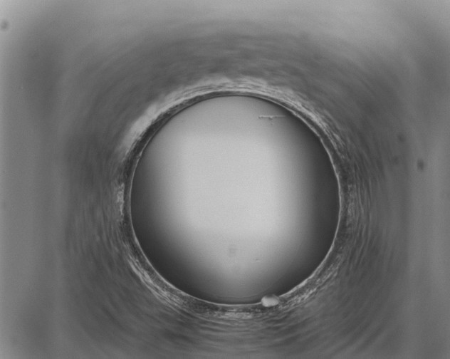 X0000087691503200705181741