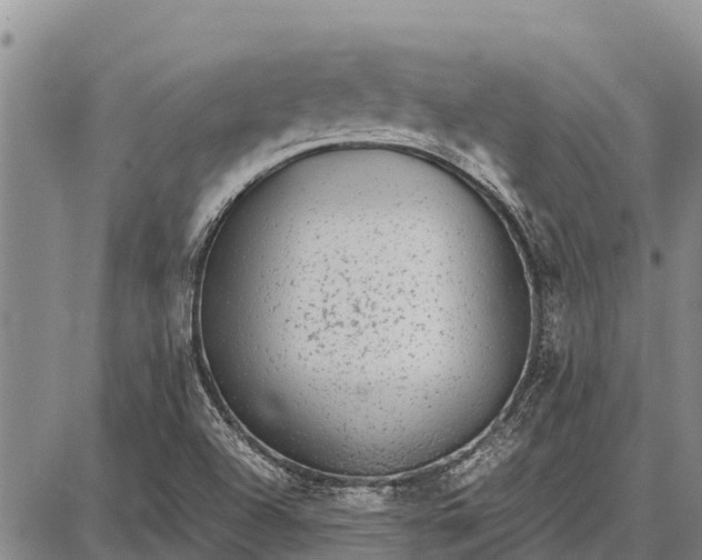 X0000087691504200705181741