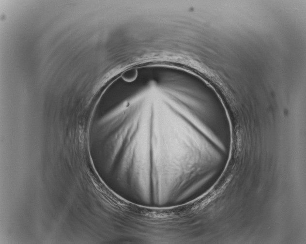 X0000087691505200705181741