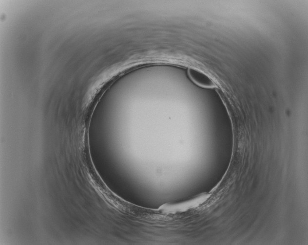 X0000087691507200705181741