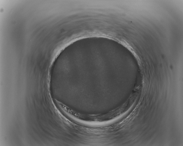 X0000087691508200705181741