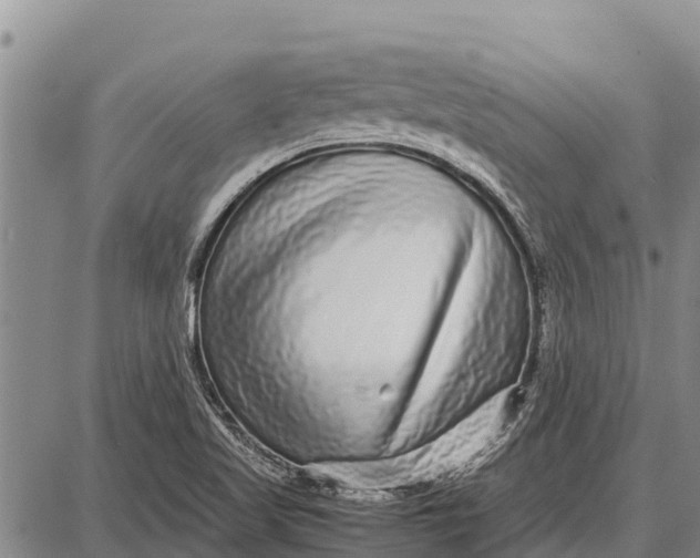 X0000087691509200705181742