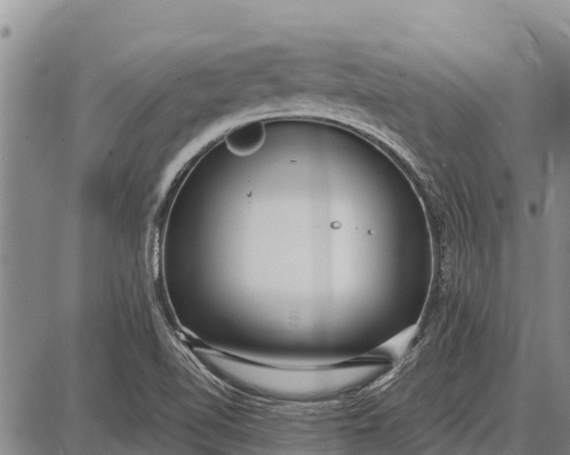 X0000087691510200705181742