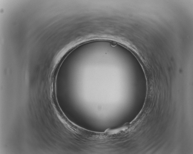 X0000087691511200705181742