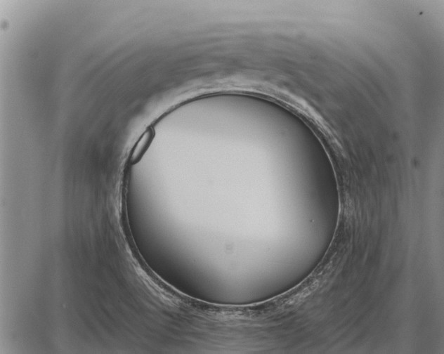 X0000087691512200705181742