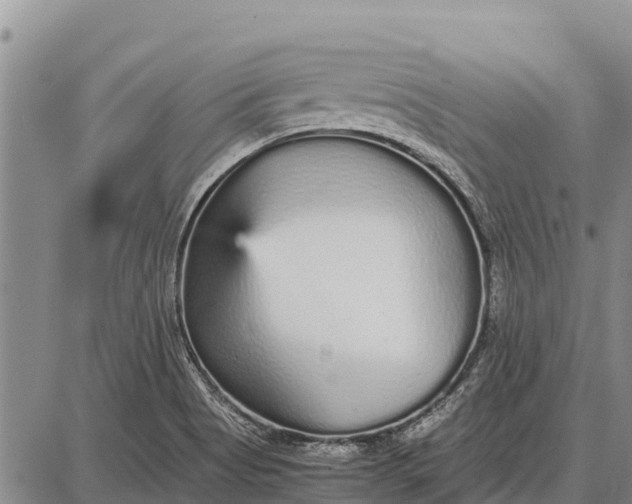 X0000087691513200705181742