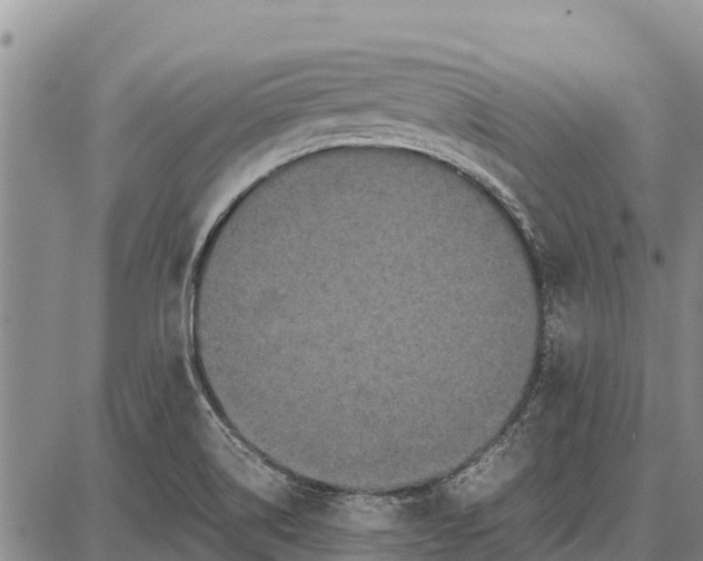 X0000087691514200705181742