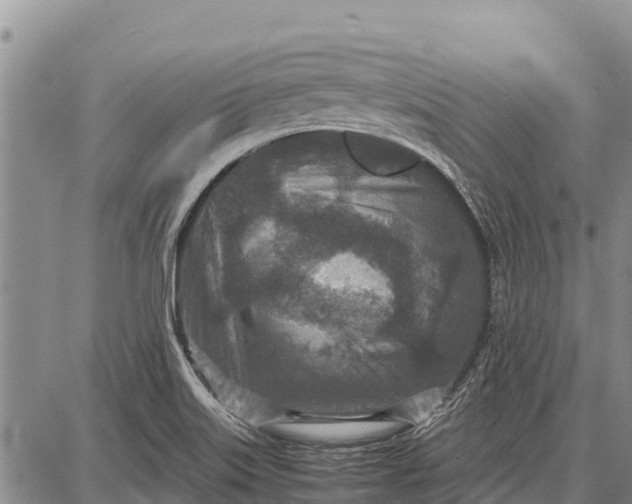 X0000087691515200705181742