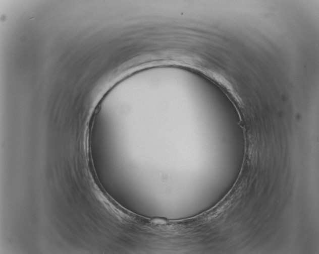 X0000087691516200705181742