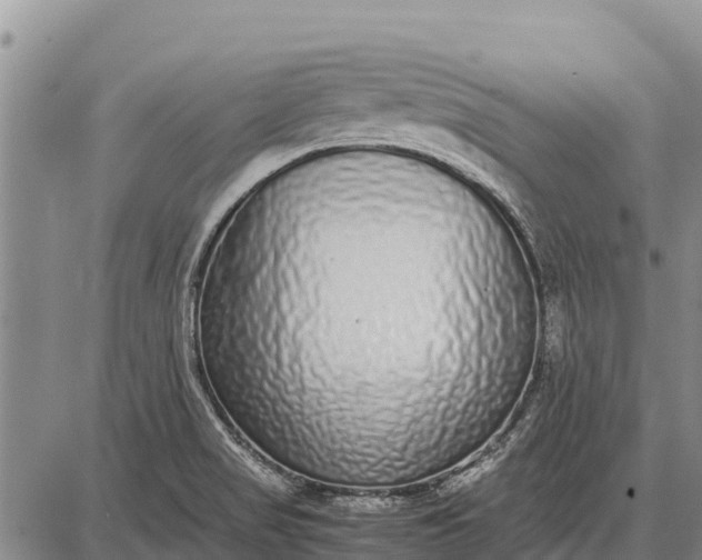 X0000087691517200705181742