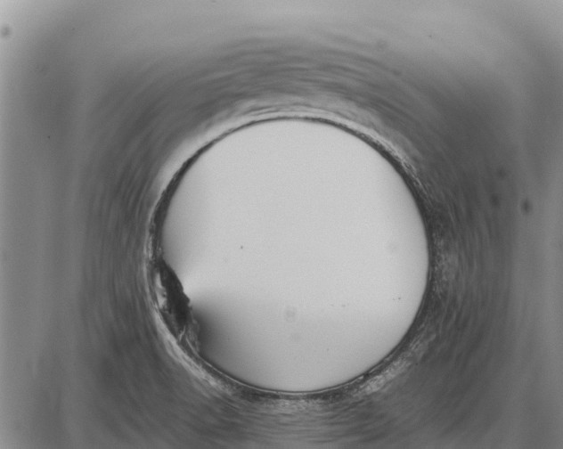 X0000087691518200705181742