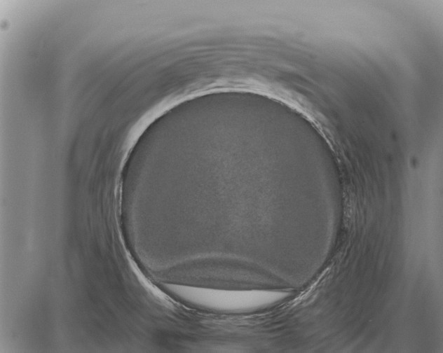 X0000087691519200705181742