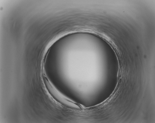 X0000087691520200705181742