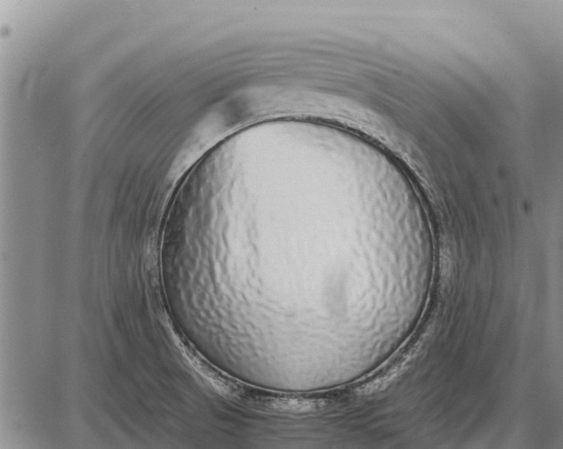 X0000087691521200705181742