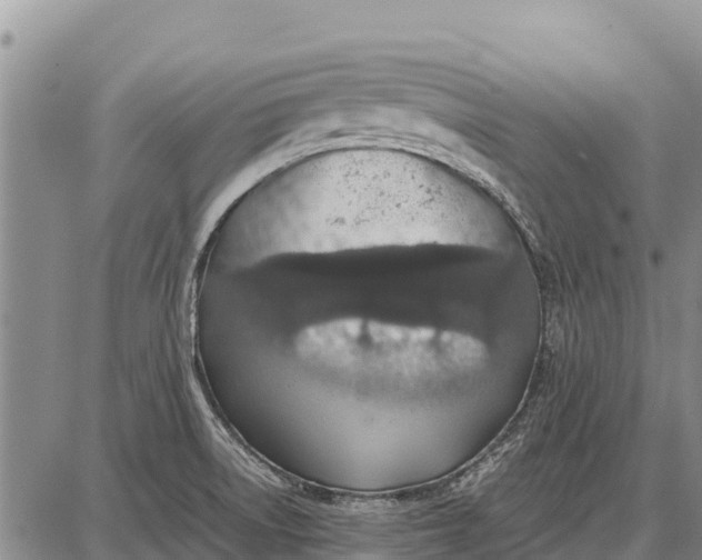 X0000087691522200705181742