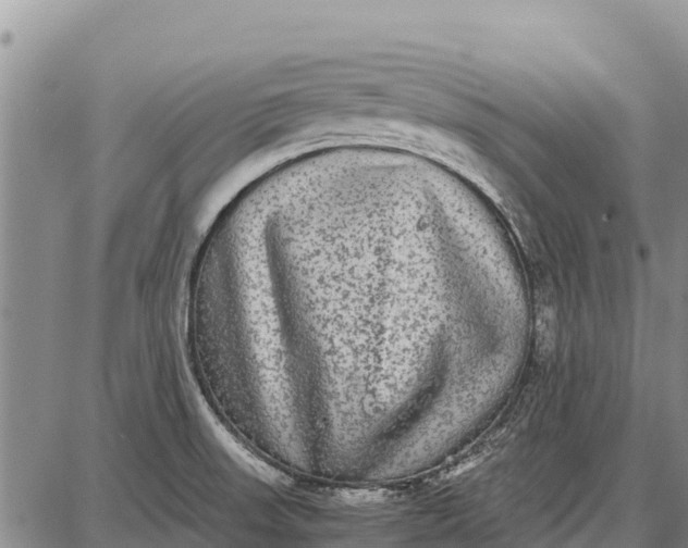 X0000087691523200705181742