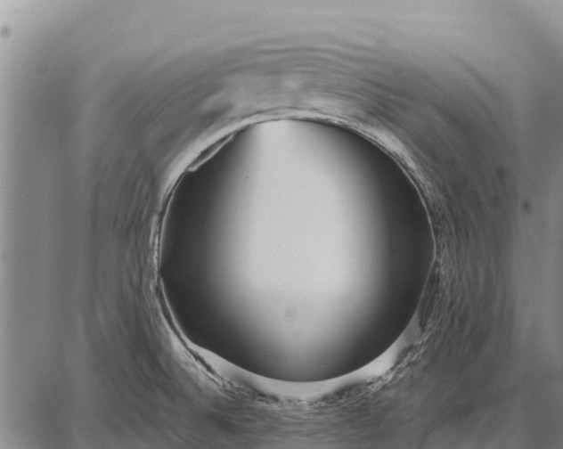 X0000087691524200705181742