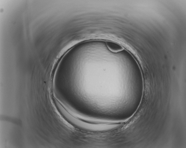 X0000087691525200705181742