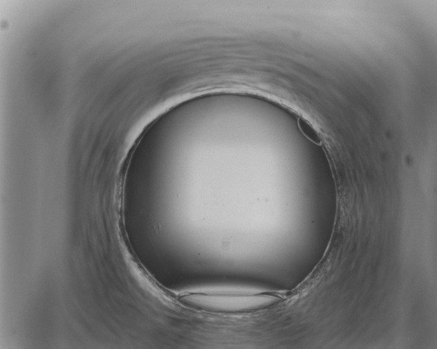 X0000087691526200705181742