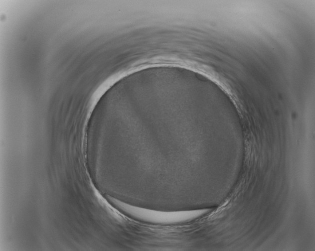 X0000087691527200705181742