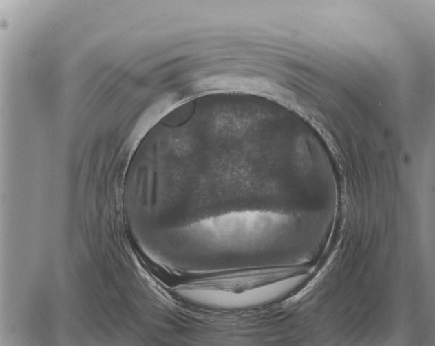 X0000087691529200705181742