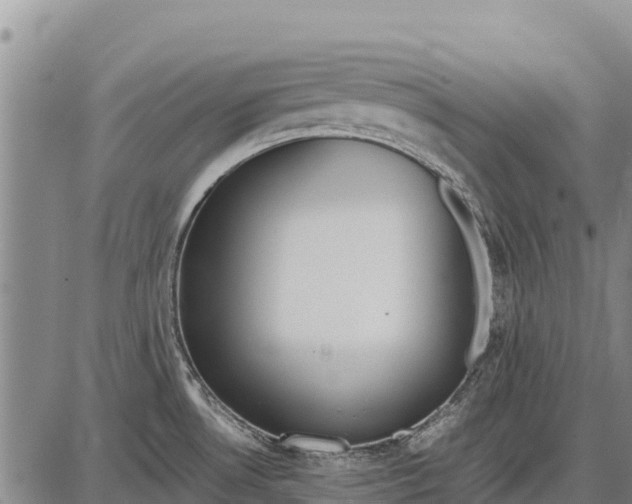 X0000087691530200705181742