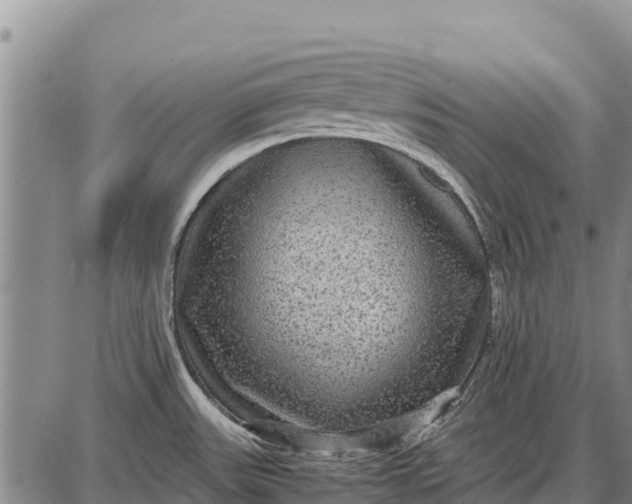 X0000087691531200705181742