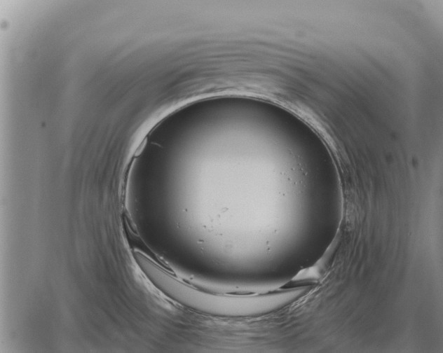 X0000087691532200705181742