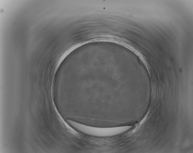 X0000087691533200705181742