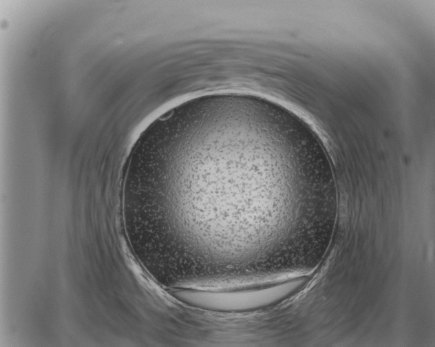 X0000087691534200705181742