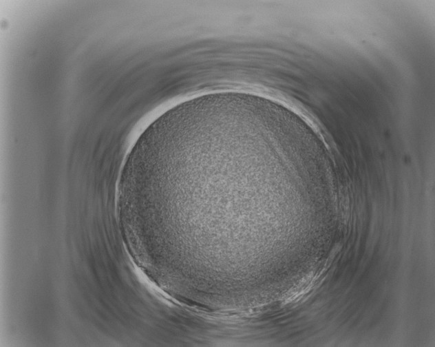 X0000087691535200705181742