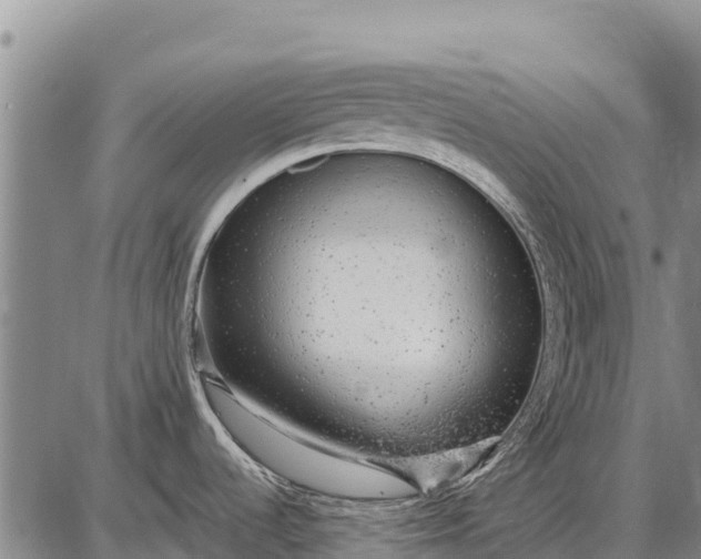 X0000087691536200705181742