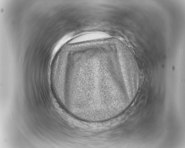 X0000087690006200705251720