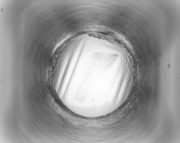X0000087690010200705251720