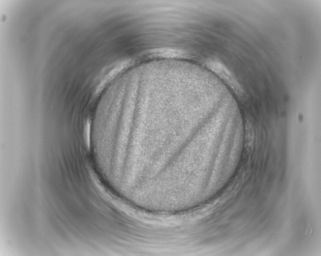 X0000087690014200705251720