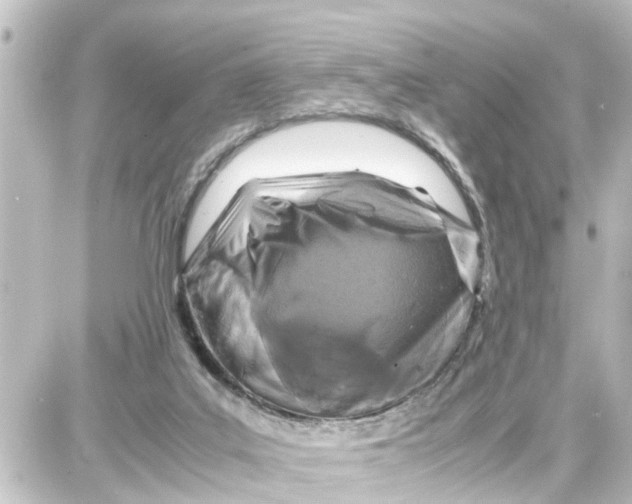X0000087690019200705251720