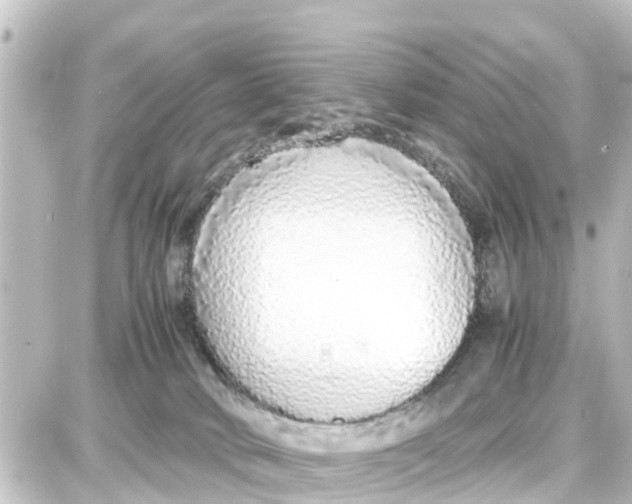 X0000087690034200705251720
