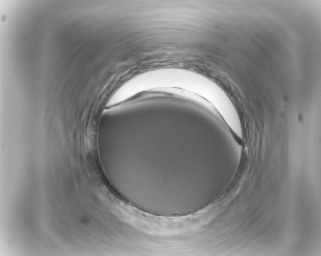 X0000087690035200705251720